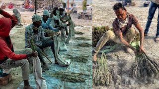 Full Making of Ponk🤩🤩 इसे खाये बिना सूरत की सर्दी अधूरी हैं😯😯 Indian Street Food | Surat