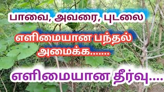 # பைசா செலவில்லாமல் பந்தல் அமைக்க  பந்தல் அமைக்க எளிமையான தீர்வு