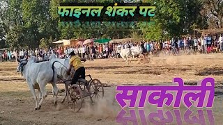 फाइनलशंकर पट साकोली|शंकरपट|बैलोंकी शरीयत|साकोली पट| Bhandara|amit ek new safar