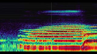 visualized frequencies of overtone singing in concert