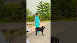 Hammad Pet House Ka Max Dog #hammadpethouse #samadpetsvlog #hammadvlog