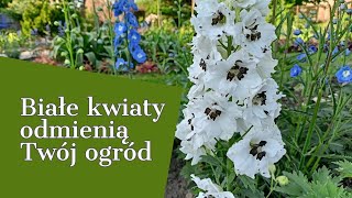 BIAŁE KWIATY ODMIENIĄ TWÓJ OGRÓD 🌼🌼🌼CUDOWNE WIDOKI