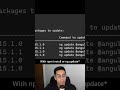 How To Update To The Newest Version of Angular EASILY!