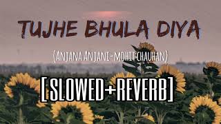 Tujhe Bhula Diya Slowed+Reverb | Anjana Anjani | Mohit Chauhan | Ranbir Kapoor | Priyanka Chopda