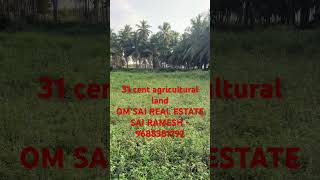 31 cent agricultural land for sale in Pollachi 75K PerCent #50cent #landforsaleinpollachi