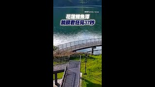 0816 6.3地震瞬間畫面曝光！ 花蓮鯉魚潭鏡頭君狂晃37秒 #Shorts