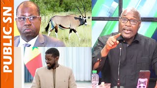 «Abdou Karim Sall ,boucher d'Oryx est un traitre qui veut faire plaisir à l'Etat»: selon Adama Fall