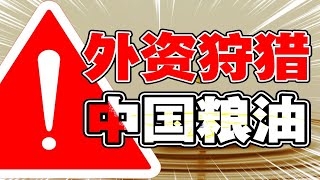 金龍魚發展史：外資圍獵中國糧油市場，餐桌食用油大戰誰能笑到最後｜十萬個品牌故事