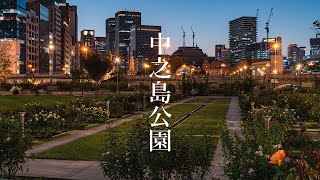 Osaka Night Walk - Nakanoshima Park Rose Garden 4K HDR Japan