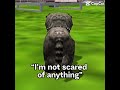 I’m not scared of anything (cat simulator 2015 )