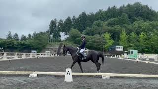 第93回関東学生馬術選手権大会　準々決勝　馬場馬術競技　プルガステル　丹治翔　全日本学生馬術連盟学生選手権馬場馬術課目2018