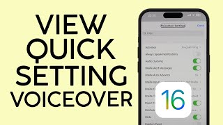How to View Quick Settings Menu for VoiceOver on iOS 16 2022