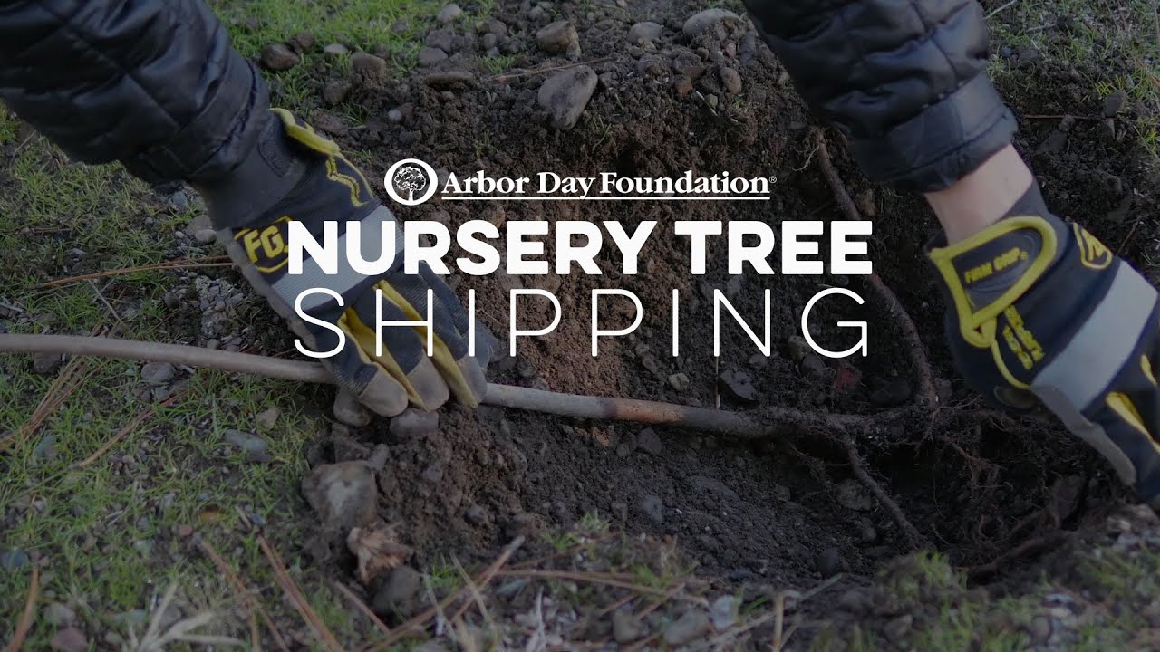 Arbor Day Foundation Nursery Tree Shipping Youtube