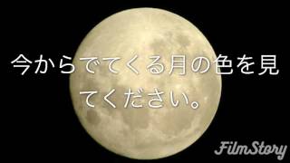 たった10秒で四色型色覚がわかる？