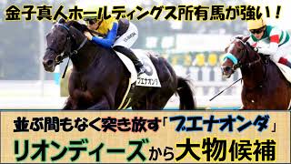 【注目勝ち馬】リオンディーズ産駒の大物候補！金子オーナー所有馬が新馬戦圧勝☆