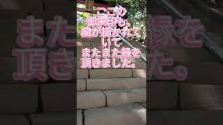 氷川女體神社にご縁を頂きました。