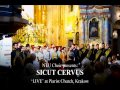 2013 - Sicut Cervus