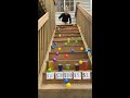 Big Bounce Stairs Challenge -- Family Game