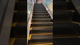 2022年、東京都目黒にできたニトリのエスカレーターに行ってきたよ！ new escalator Nitori Tokyo Japan