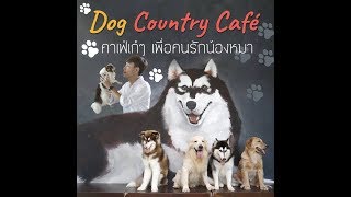 Dog Country Café : คาเฟ่เก๋ๆ เพื่อคนรักน้องหมา