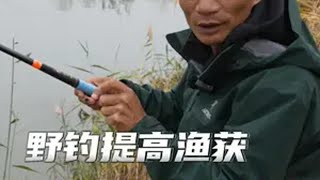 调好漂、找好底，你也能感受到鱼的呼吸！冬天钓鲫鱼有多爽 入冬钓鱼指南 2024dou来钓鱼 清哥说钓 野钓技巧