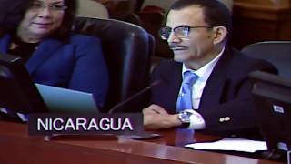 Nicaragua reitera en la OEA su apego a los principios de no intervención