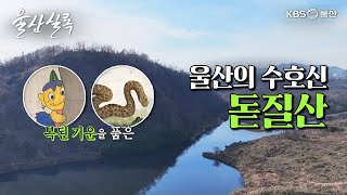 울산의 수호신 돋질산 [KBS울산 보물창고 - 울산실록] 25.1.7 방송