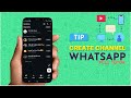 How to Use WhatsApp Channels | Complete Guide to WhatsApp Channels Feature