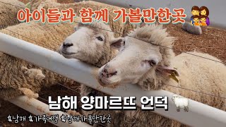 가족 혹은 애인과 남해 가볼만한곳 남해양떼목장 양마르뜨언덕