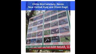 Must visit Okhla Birds Sanctuary with family #okhlabirdsanctuary