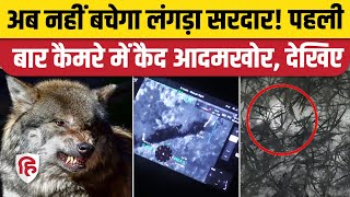 Bahraich Bhediya News: लंगड़ा सरदार ड्रोन कैमरे में कैद, पहली बार आया नजर। Bahraich Wolf Attack