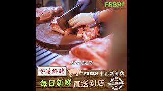 FRESH香港鮮豬 每日放送新鮮本地豬！