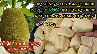 പച്ച ചക്ക രുചി ഒട്ടും നഷ്ടപ്പെടാതെ ഒരു വർഷം വരെ സൂക്ഷിക്കാം||Preserve jackfruit Fresh For 1Year