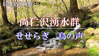 【4K自然音】清らかな早春の湧水群　 川のせせらぎ 鳥の声50分 Spring water group in early spring 50 min.  Nature Song＃11