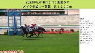 メイクデビュー函館５Ｒで奥が深い競馬ぶりを高評価！ベルパッションは函館２歳ステークス有力候補！？