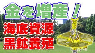 【国産資源】海底から金銀を！黒鉱養殖プロジェクト【海底熱水鉱床】