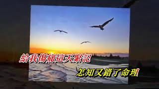 曾用心   亮聲open〈歌手演唱版〉