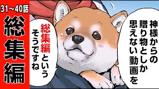 【総集編 第4弾】31話～40話までイッキ見！【世界の終わりに柴犬と】