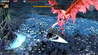 Vindictus TW / 新瑪奇英雄傳 -Vella(薇菈) Solo Regina雷吉娜