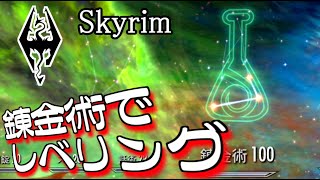 【Skyrim】まもってこわそ Part35「御守」【ゆっくり実況プレイ】