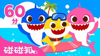 暑假來囉！夏日的鯊魚寶寶合集 | 連續播放 | Baby Shark l Kids Song Nursery Rhymes | 碰碰狐 Pinkfong