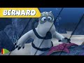 🐻‍❄️ BERNARD  | Collection 20 | Full Episodes | VIDEOS and CARTOONS FOR KIDS