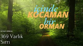 içinde kocaman bir orman