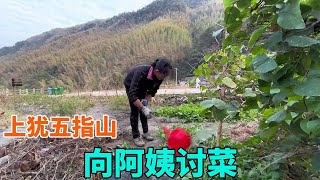 赣南农村讨菜，浇菜阿姨好实在，你拿钱来啊【海派高手】