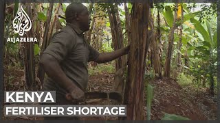 Kenya farmers set back by fertiliser shortage
