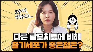 모발이식,약복용VS탈모줄기세포😎 줄기세포를 통한 탈모치료의 장점은 무엇인지 궁금한가요?🤗