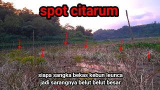 Mancing belut terbaru‼️Spot kebun yang mulai surut,ayo kita panen belut,,,