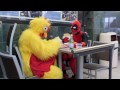 deadpool vs the chicken