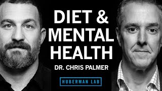 Dr. Chris Palmer: Diet & Nutrition for Mental Health | Huberman Lab Podcast #99