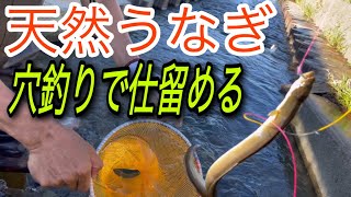 うなぎの穴釣り！アタリが半端ない！